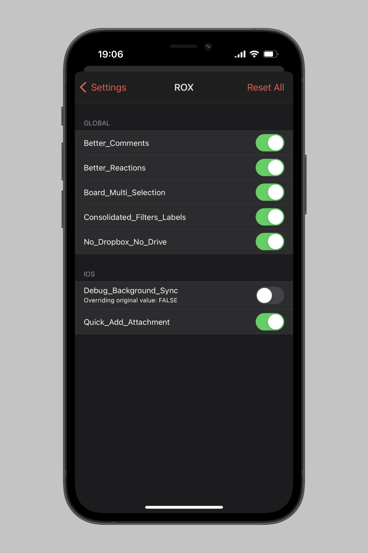 Feature flags debug view